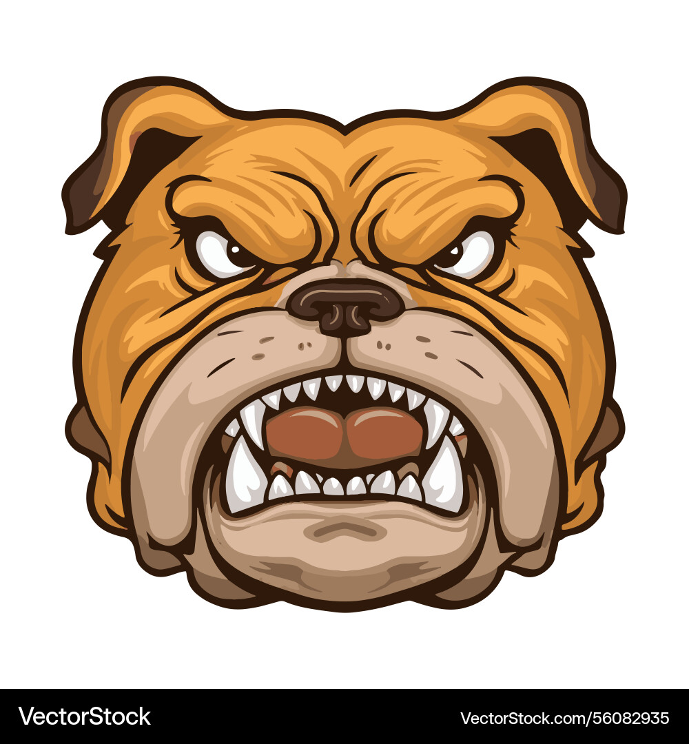 Angry bulldog face mascot on a white background Angry bulldog face mascot on a white background vector image
