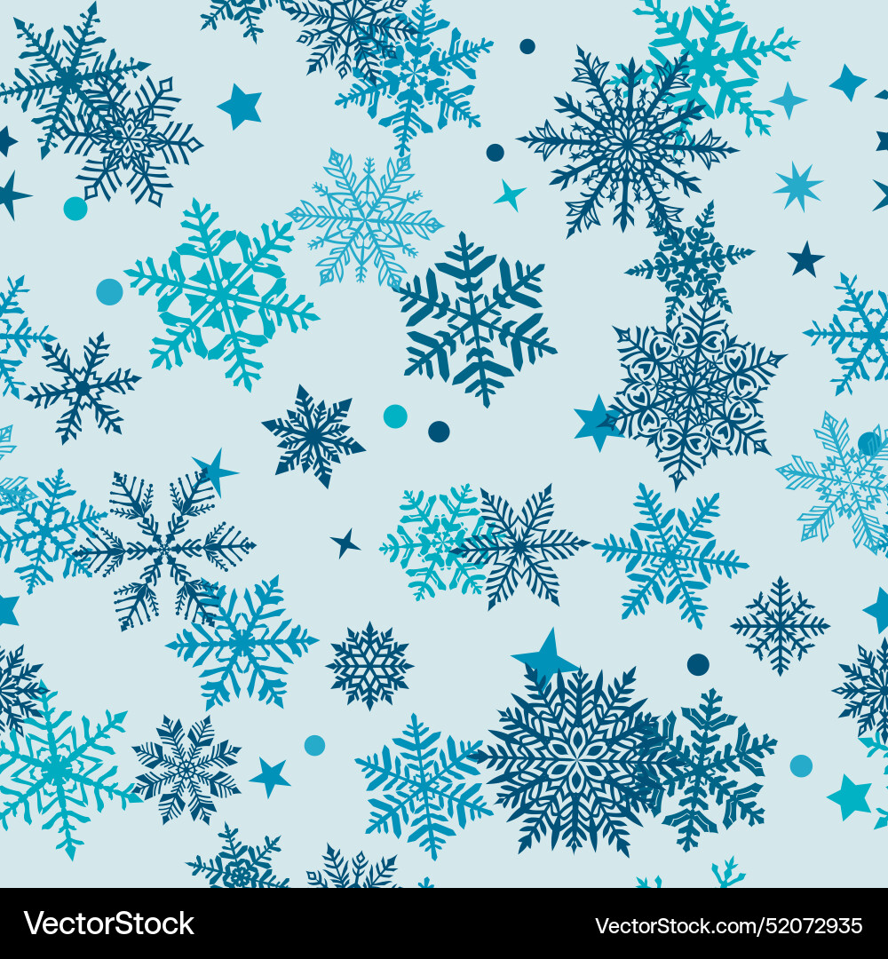 Winter Snowflake Pattern vector image