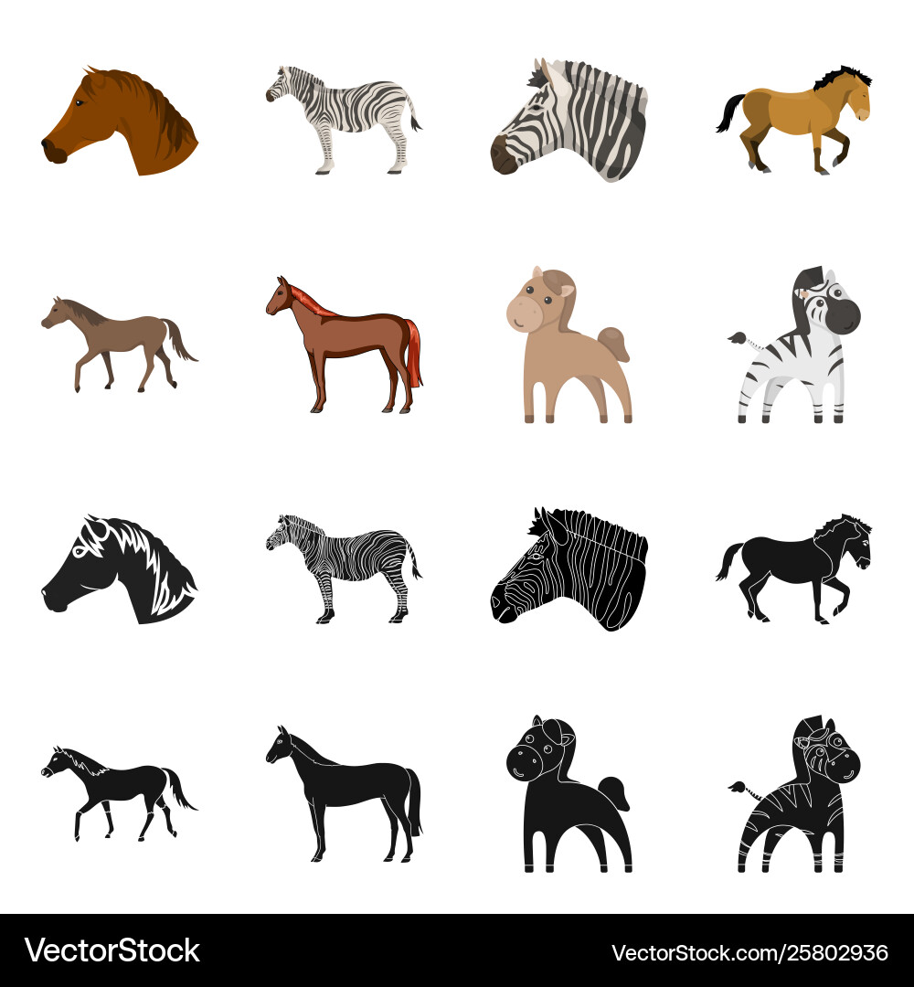 Design trot and running symbol set vector image