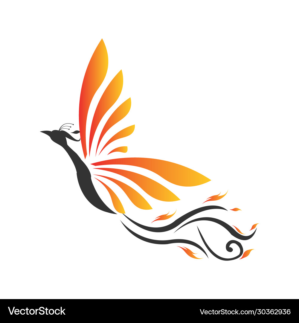 Fliegende hohe Feuer Vogel Phönix Logo Design Grafik Fliegende hohe Feuer Vogel Phönix Logo Design Grafik vektorbild