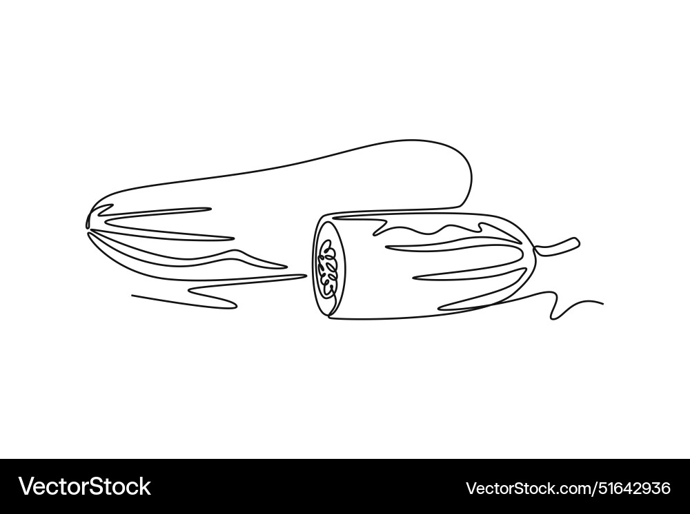 Single continuous line drawing whole and sliced Single continuous line drawing whole and sliced Vector Image