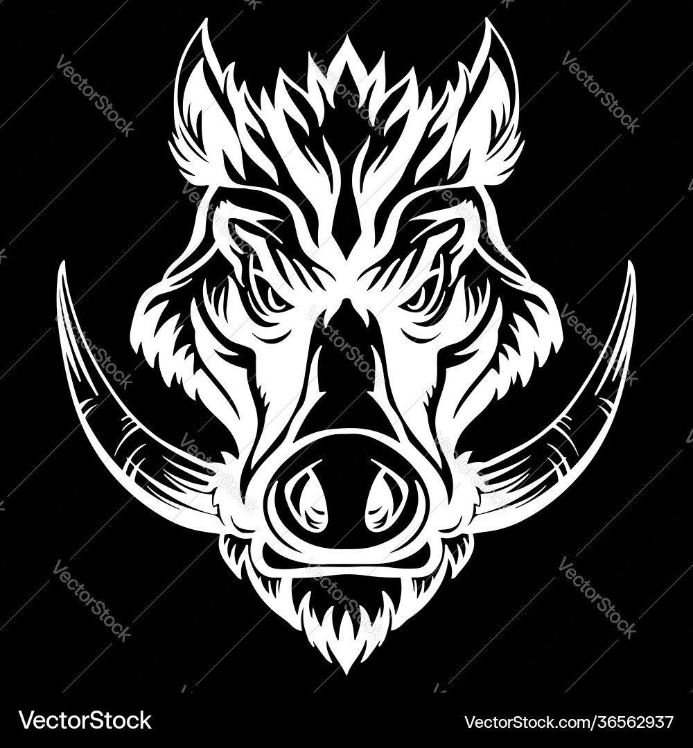 Isolated Boar Head Emblem vector image