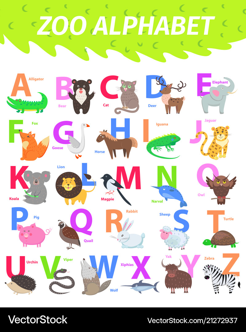 Zoo alphabet with cute animals cartoon flat Zoo alphabet with cute animals cartoon flat vector image