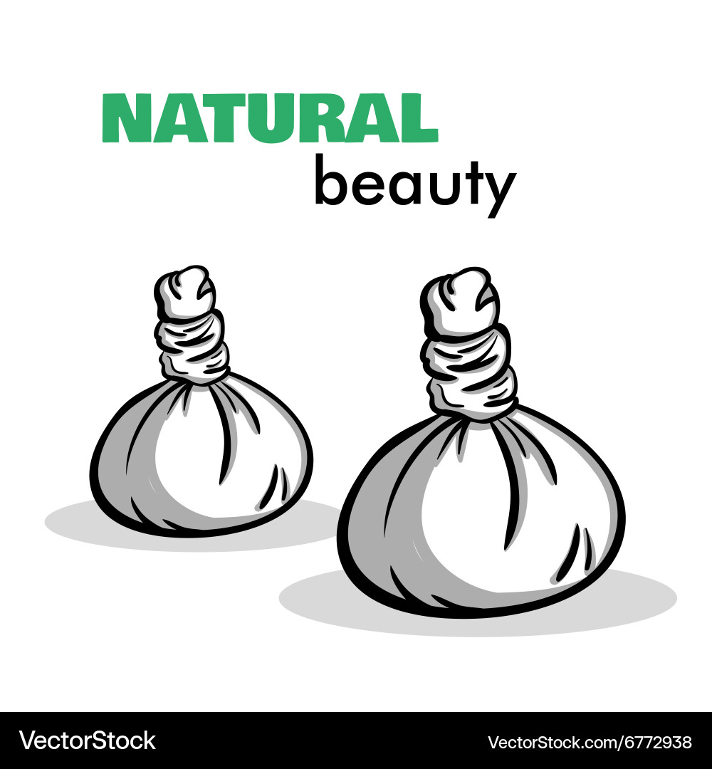 Isolated spa objects Vector Image