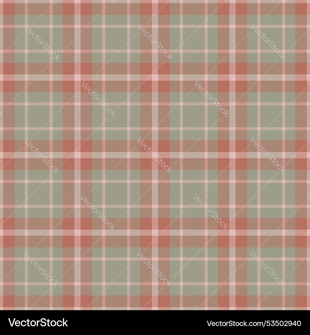 Stroke background fabric pattern spring check Vector Image