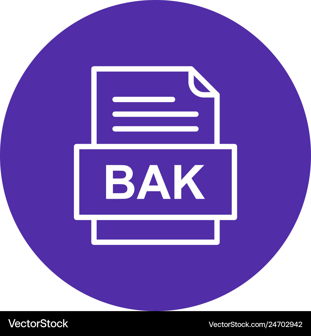 Bak file document icon Vector Image