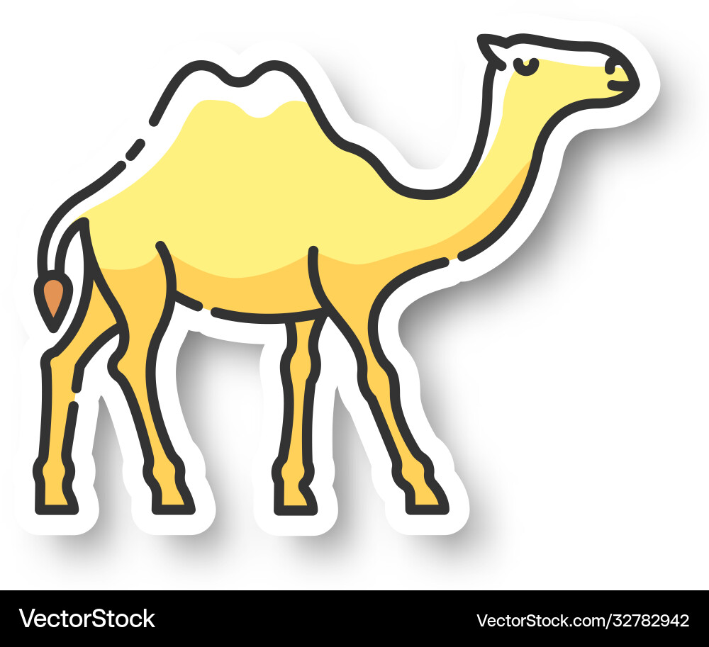 Camel patch Camel patch vector image