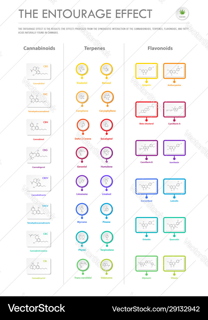 Entourage effect with structural formulas vector image