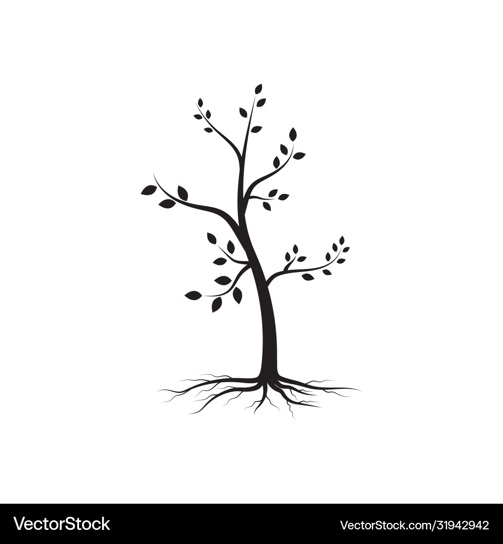 Tree branch design Tree branch design vector image