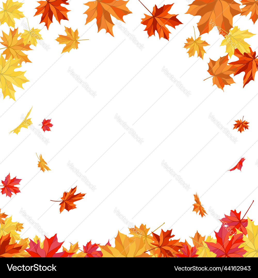 Autumn maple frame Royalty Free Vector Image - VectorStock