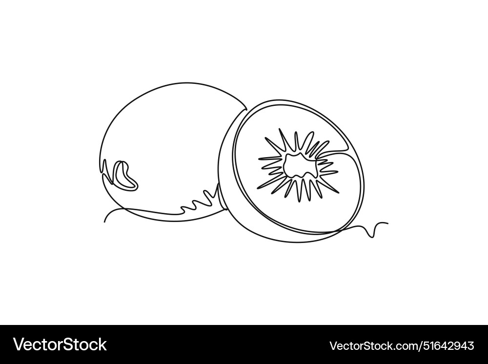 Continuous one line drawing of whole and half Vector Image