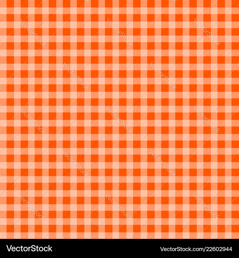 Gingham Check Pattern Repeat vector image
