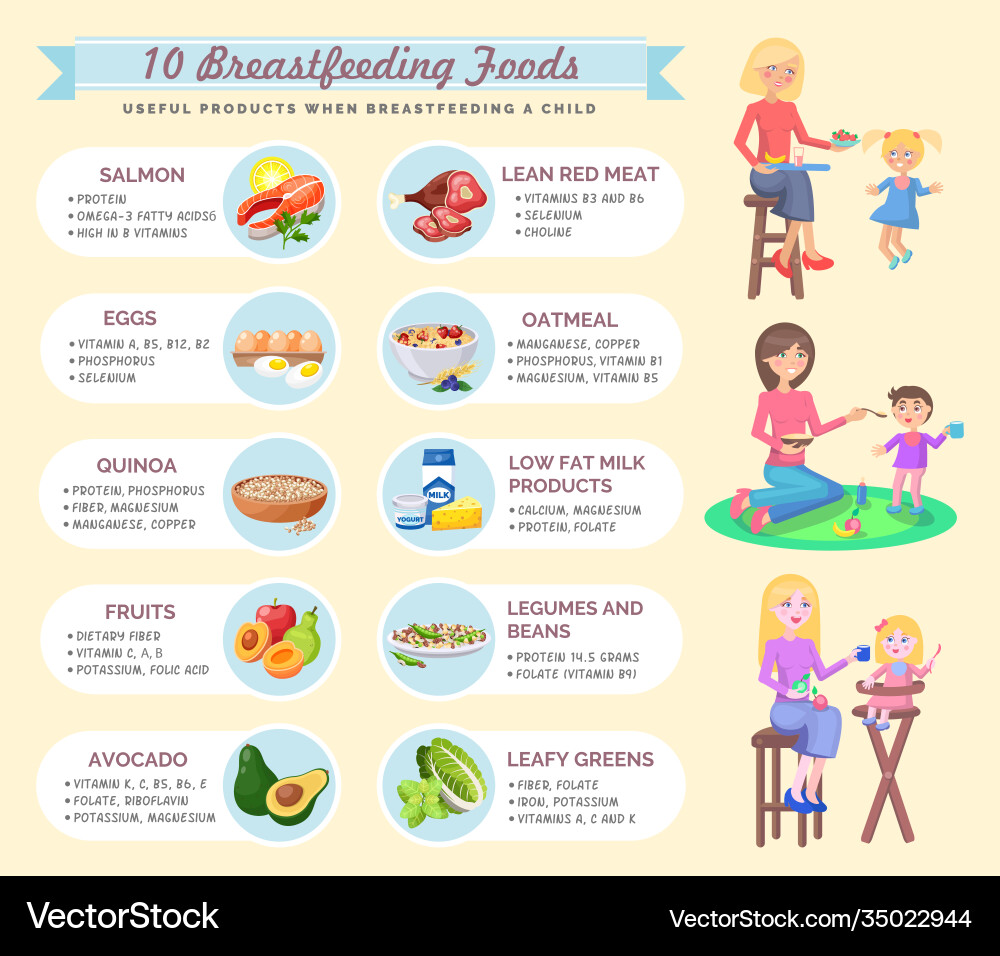 Presentation template useful products when Presentation template useful products when vector image