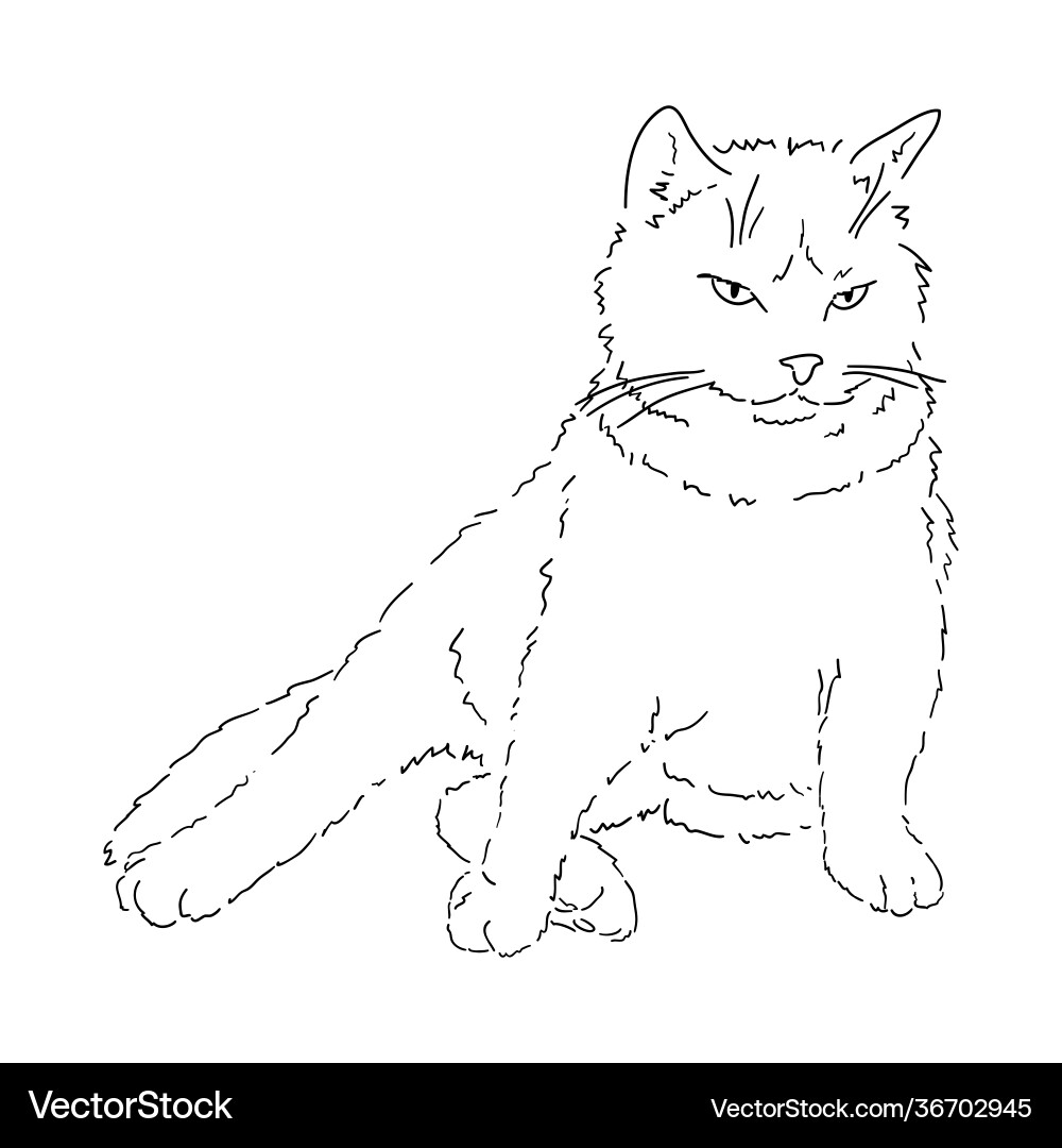 A drawing fat fluffy imposing cat sitting Vector Image