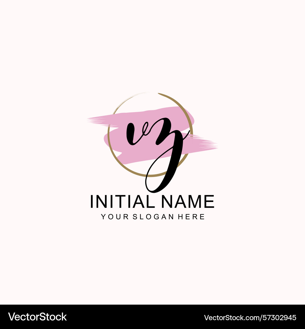Vz modern handwritten logo with artistic brush Vector Image