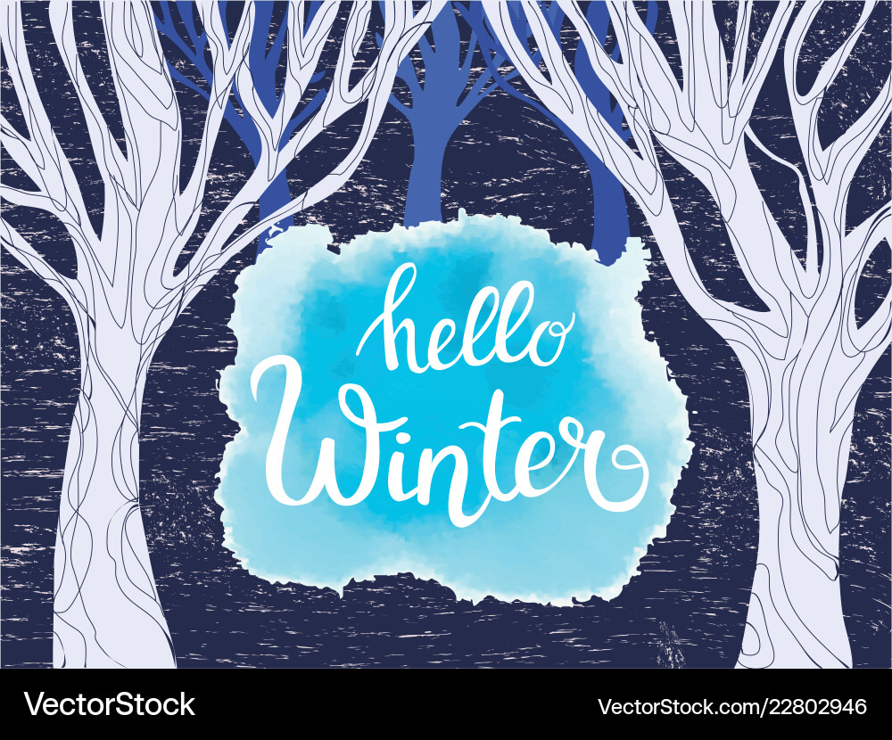 Forest with trees background and hello winter Vector Image