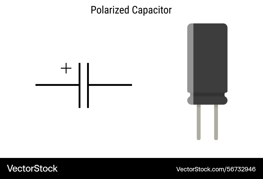 Polarized capacitor schematic symbol and component Polarized capacitor schematic symbol and component vector image