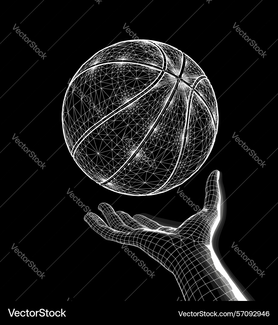 Realistic wireframe basketball Realistic wireframe basketball Vector Image
