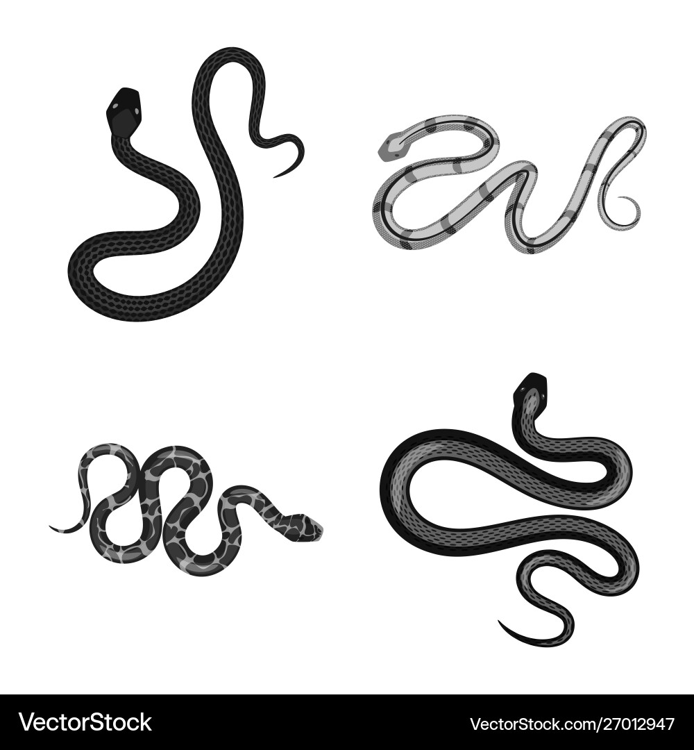 Isolated object harm and bite sign set Isolated object harm and bite sign set vector image
