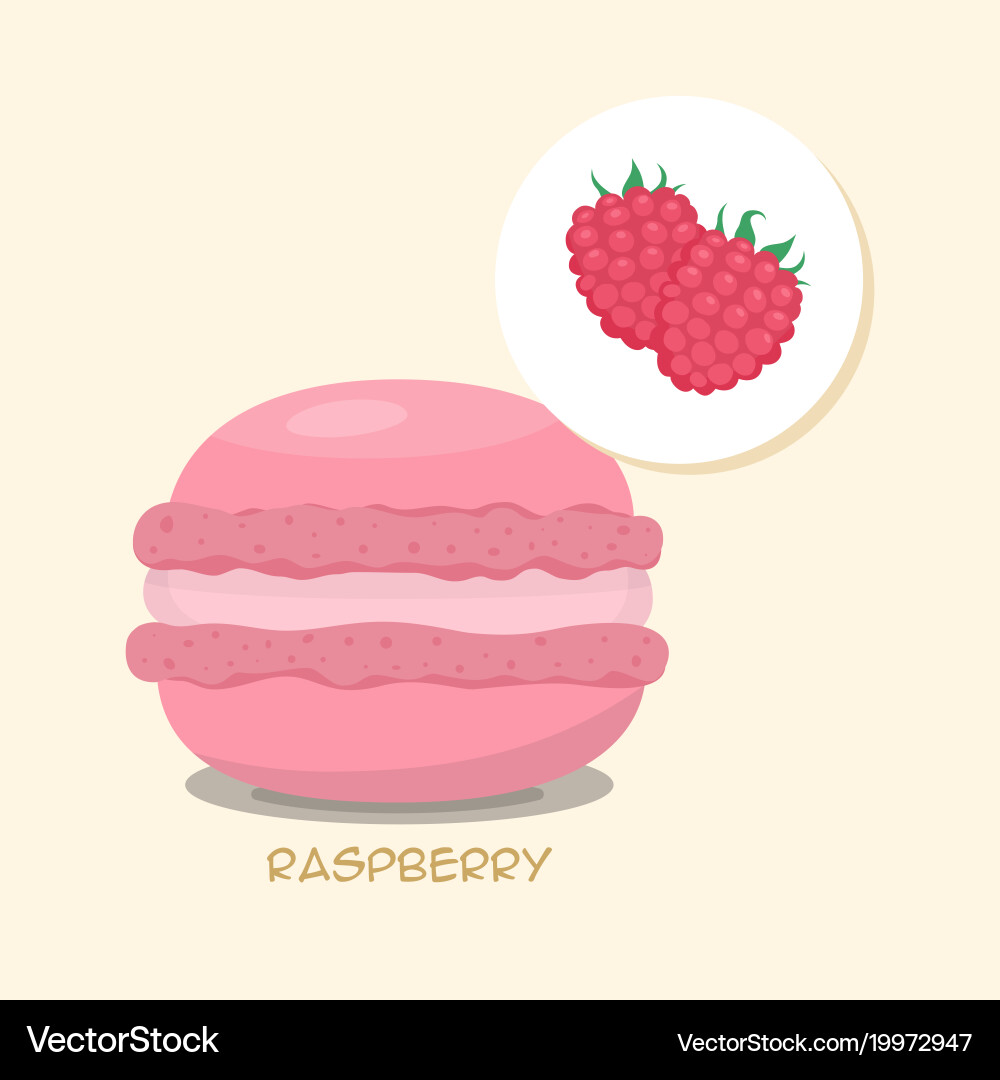 Macaroon with raspberry taste Vector Image