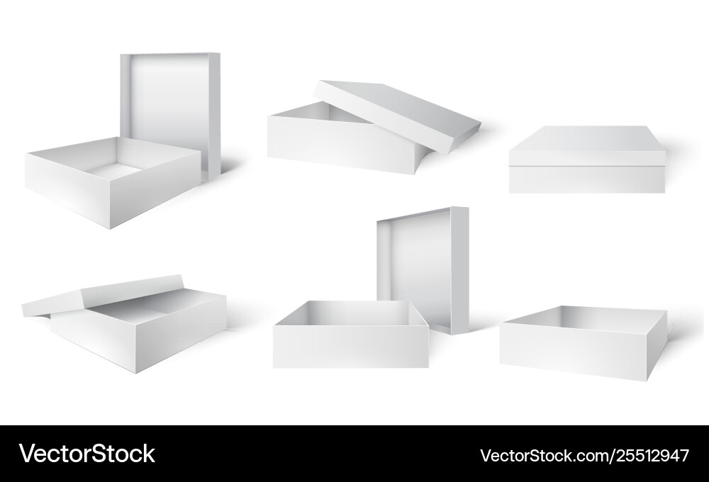 Open and closed packaging box white cardboard vector image