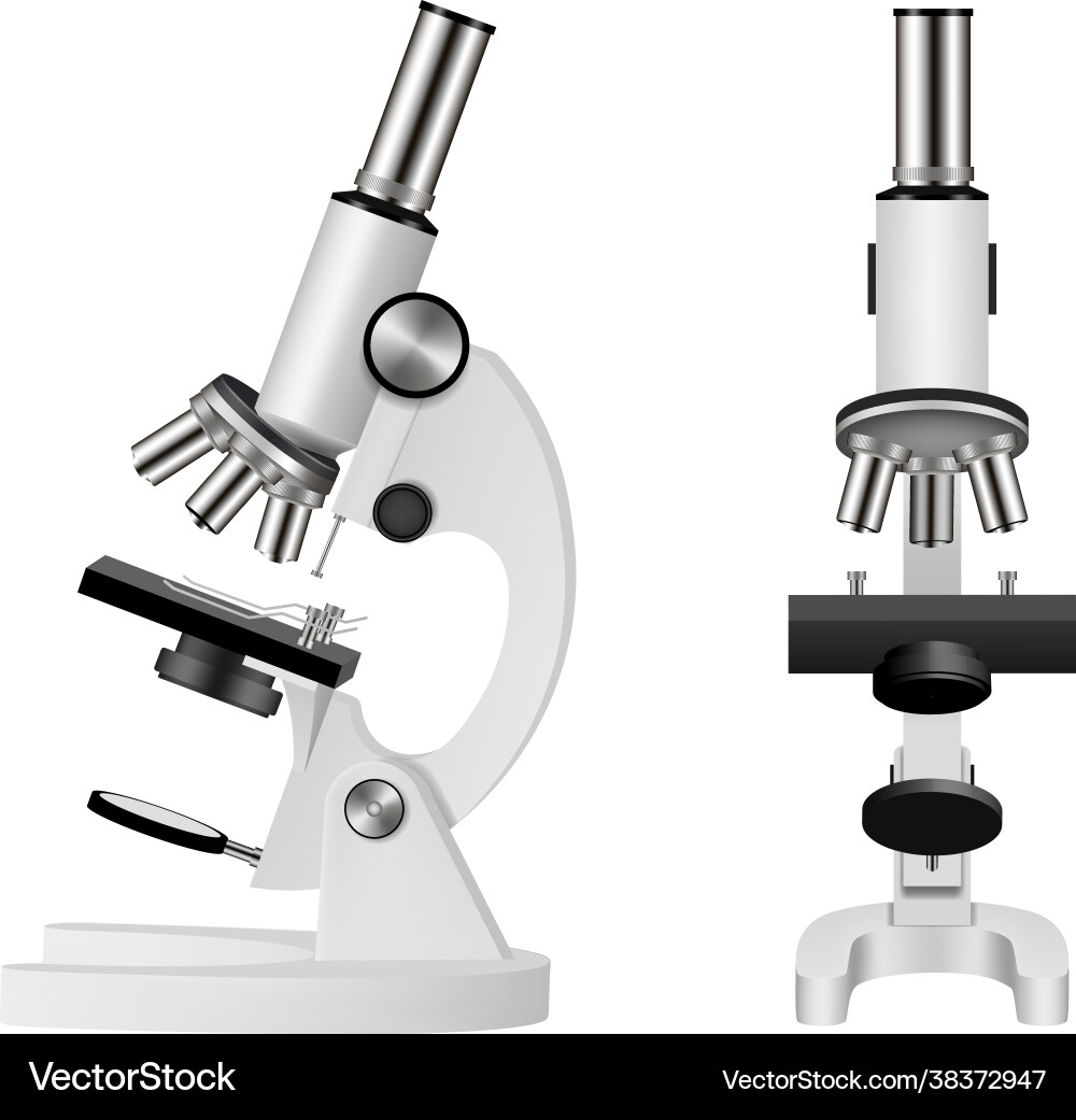 Realistic Microscope - Front & Side View vector image