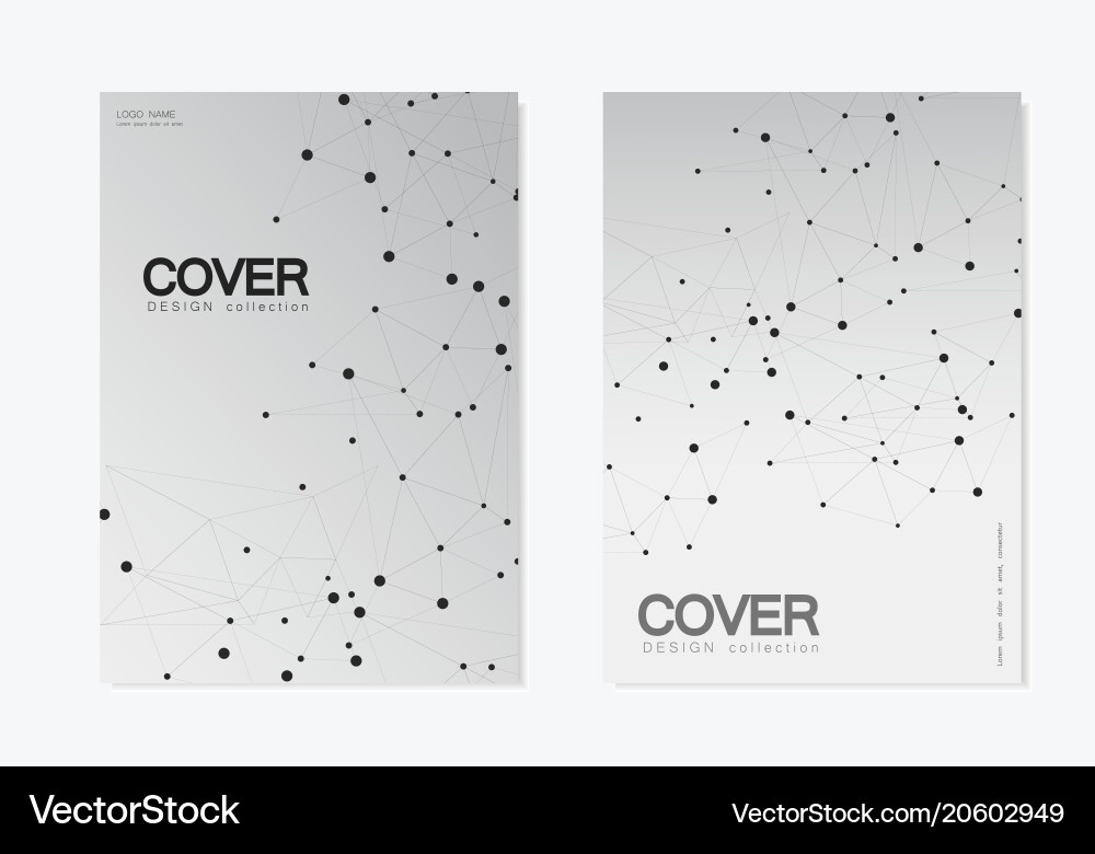 Abstract polygonal background with connected lines vector image