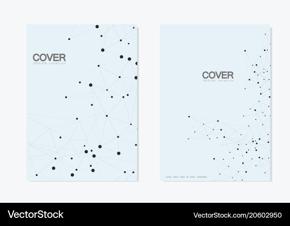 Abstract polygonal background with connected lines vector image