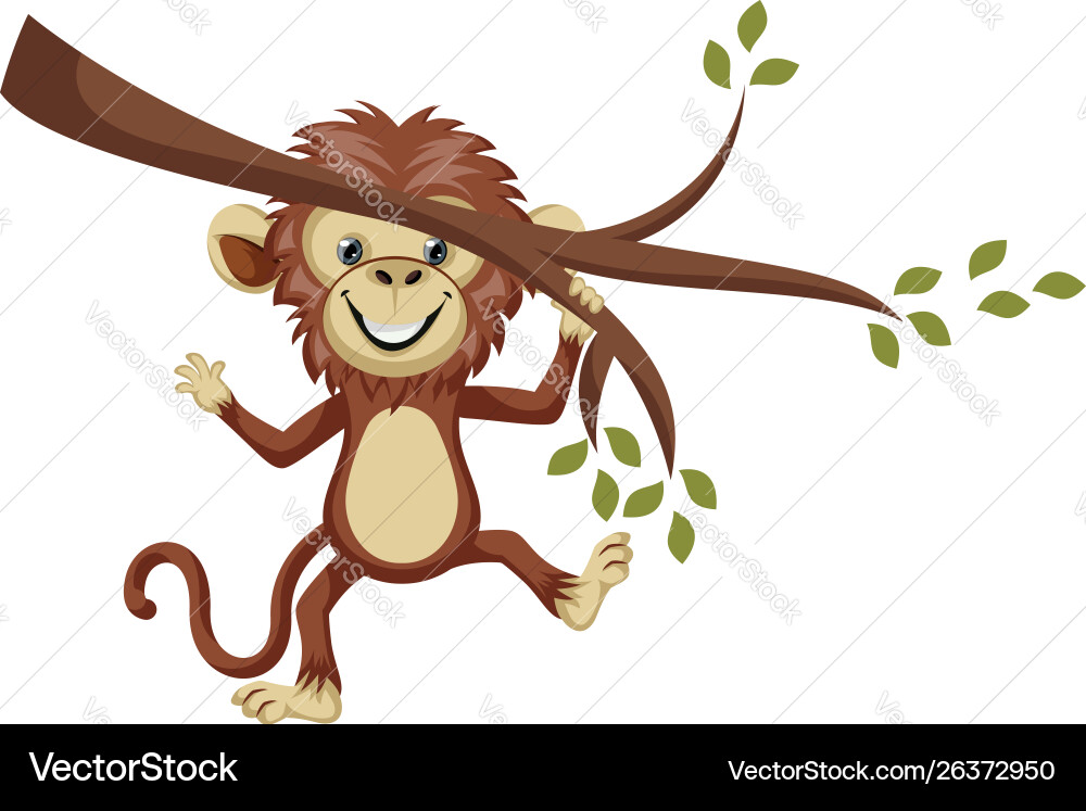 Monkey on a branch white background Vector Image