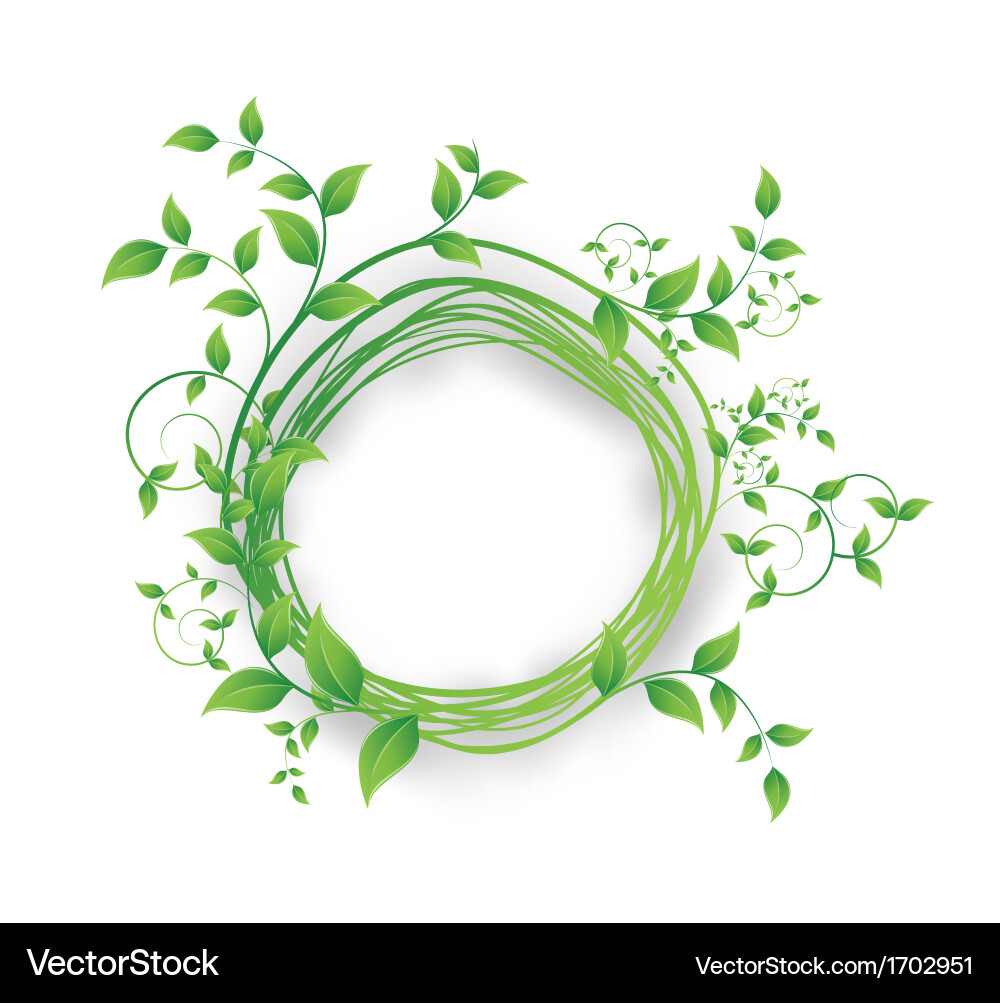 Green leaf Royalty Free Vector Image - VectorStock