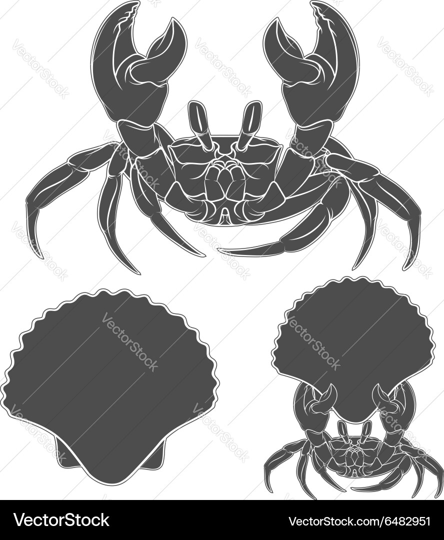 Image with shell crab claws vector image