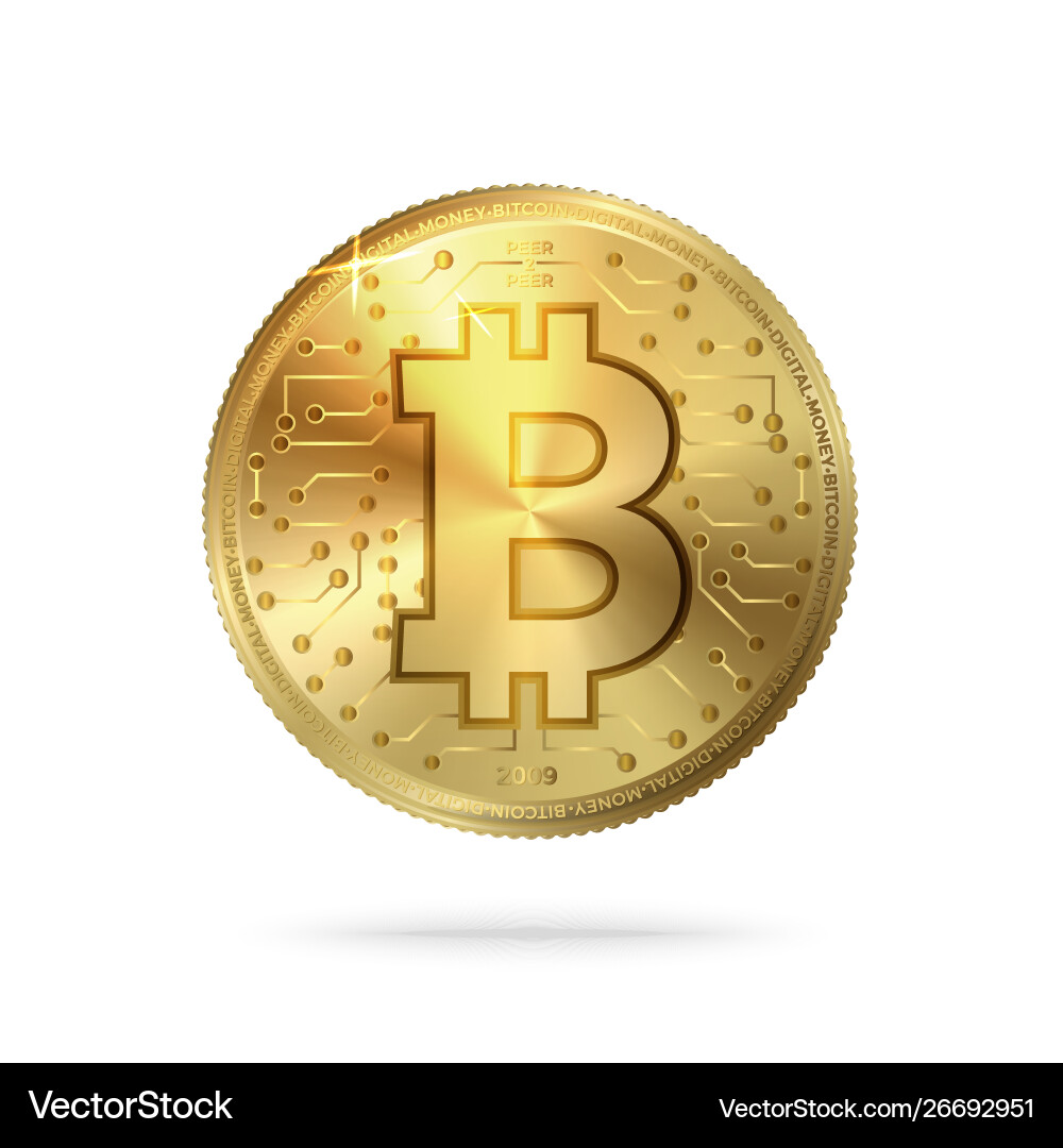 Realistic bitcoin symbol digital pattern vector image