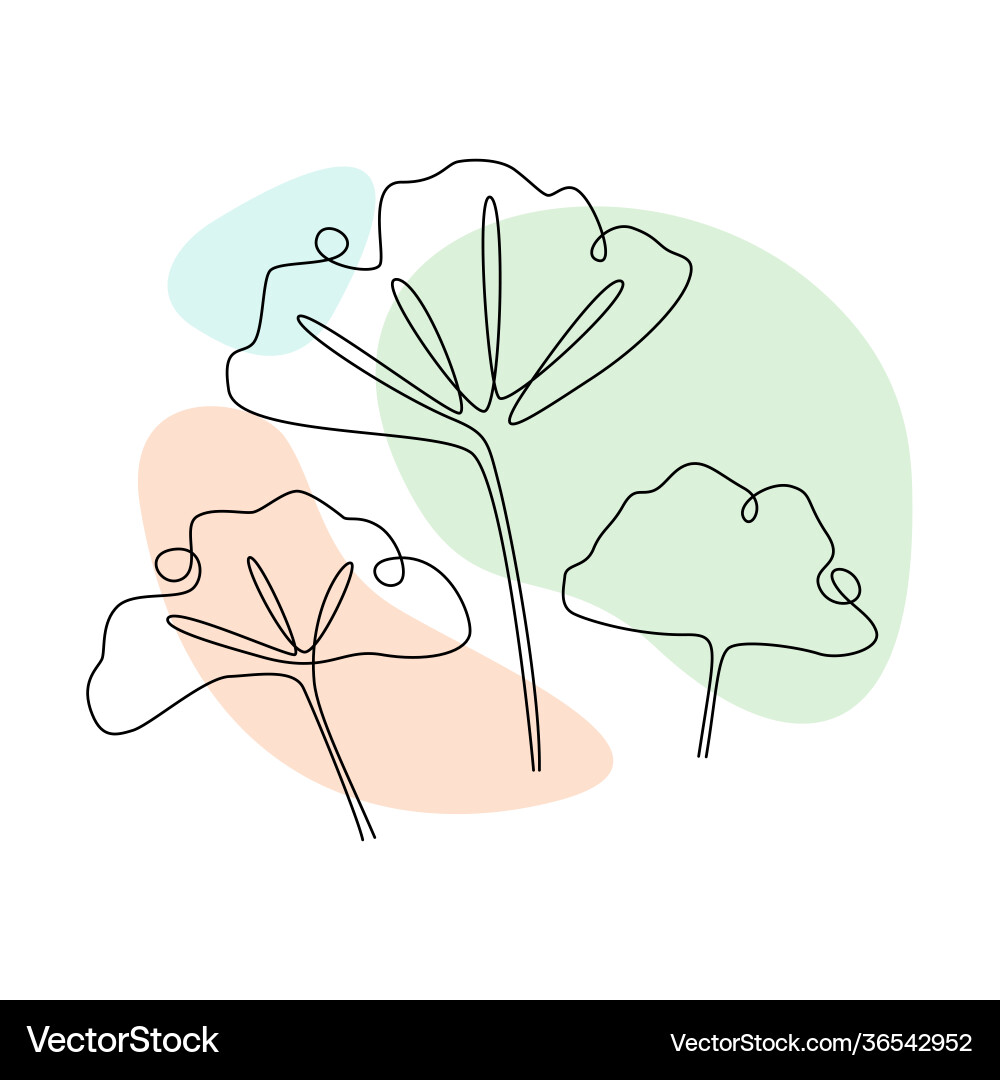 Ginkgo biloba continuous one line drawing Ginkgo biloba continuous one line drawing vector image