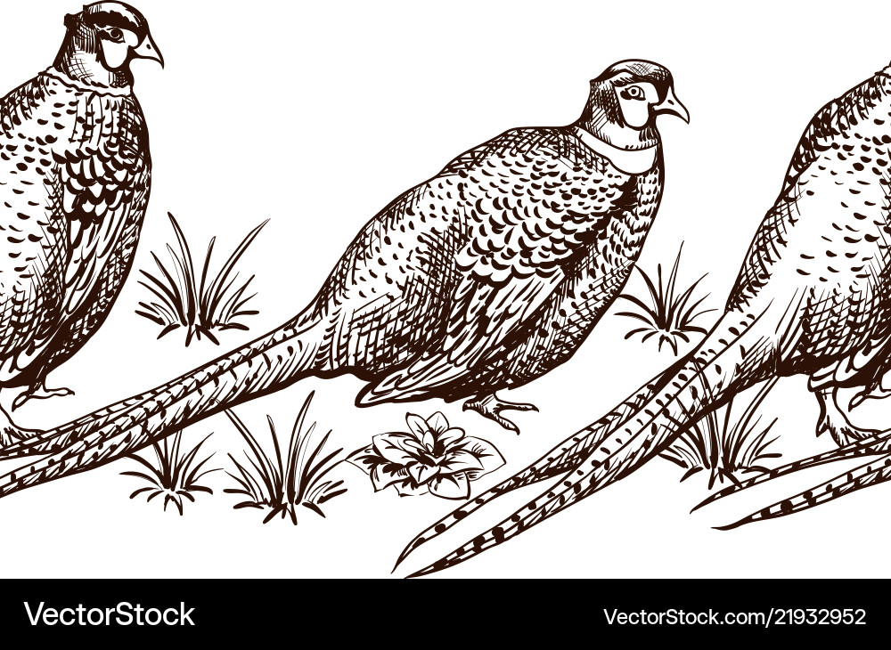 Seamless pattern with pheasants Seamless pattern with pheasants vector image