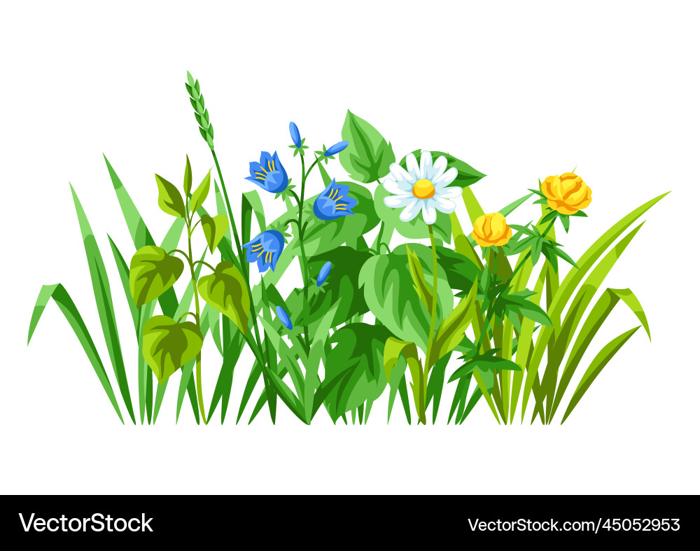 Background with meadow flowers herbs and cereal Background with meadow flowers herbs and cereal vector image