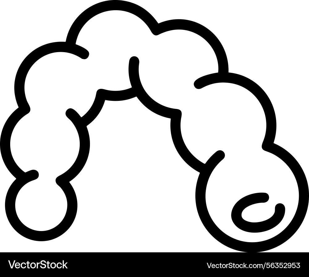 Computer icon symbol image Vector Image