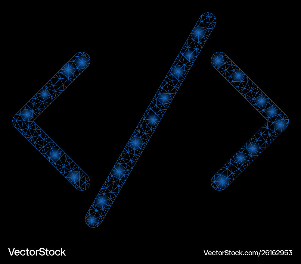 Flare mesh carcass html code with spots vector image