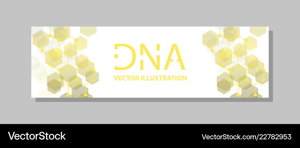 Molecular structure with connected lines and dots vector image