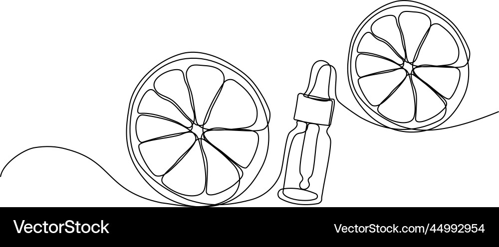 Continuous drawing of one line top view Continuous drawing of one line top view Vector Image