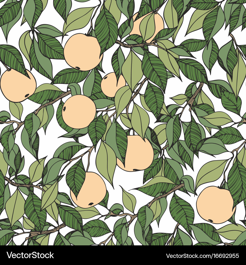 Elegant Apple Tree Branch Pattern vector image
