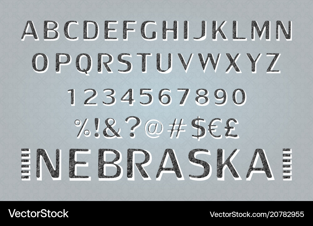 Font alphabet script typeface Font alphabet script typeface vector image