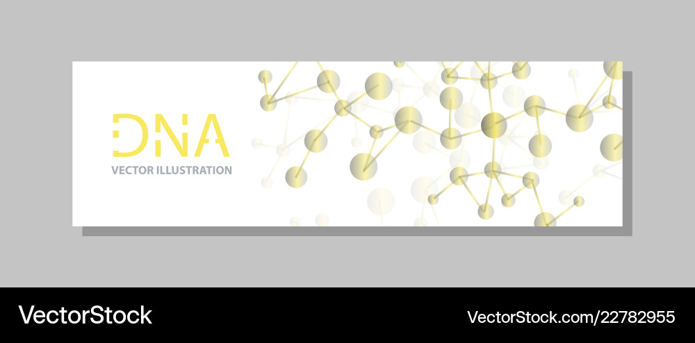 Molecular structure with connected lines and dots vector image