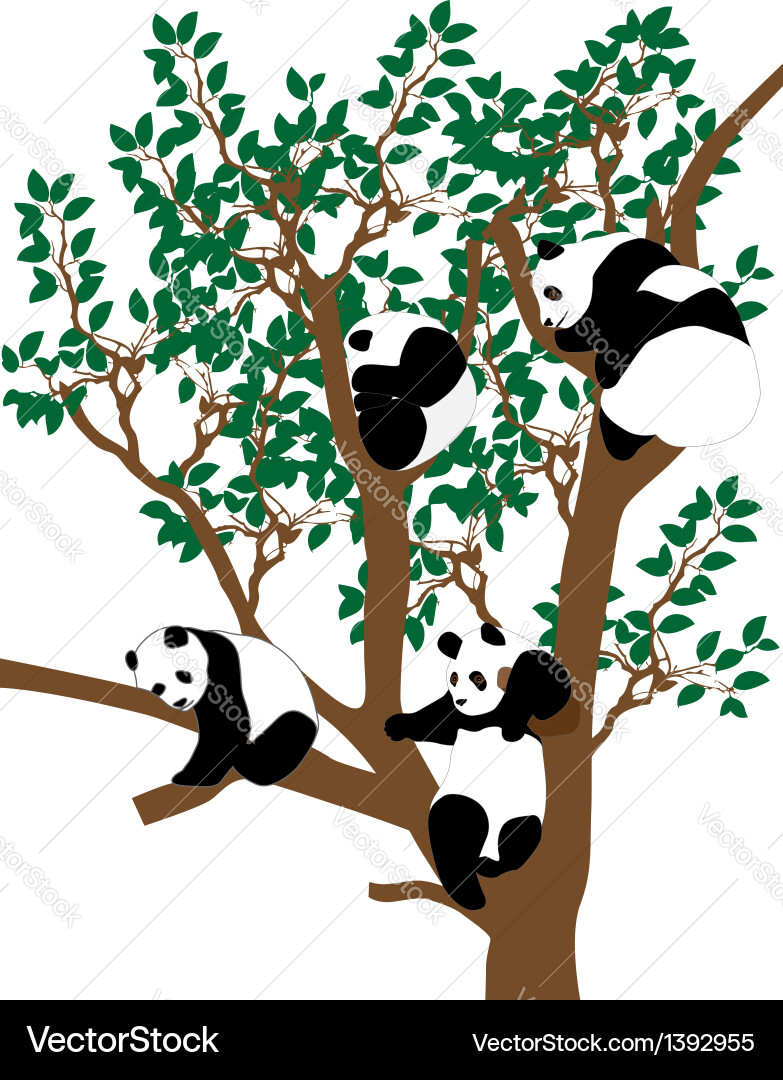 Panda Resting in a Tree vector image