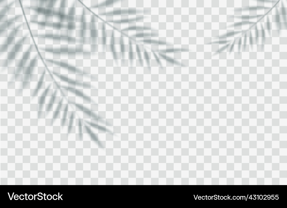 Shadow overlay effect Shadow overlay effect vector image