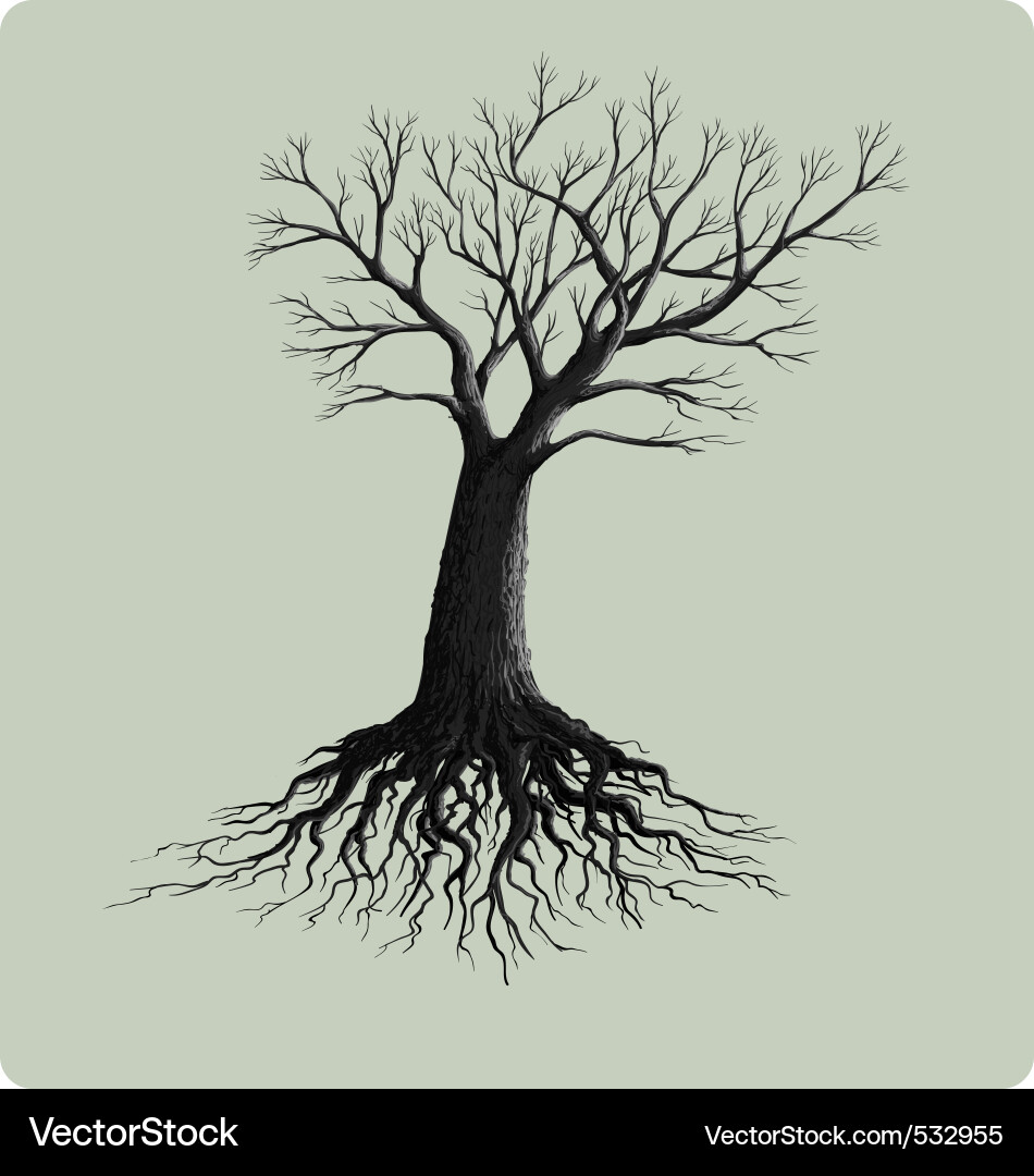 Tree with Roots Illustration Vector Image