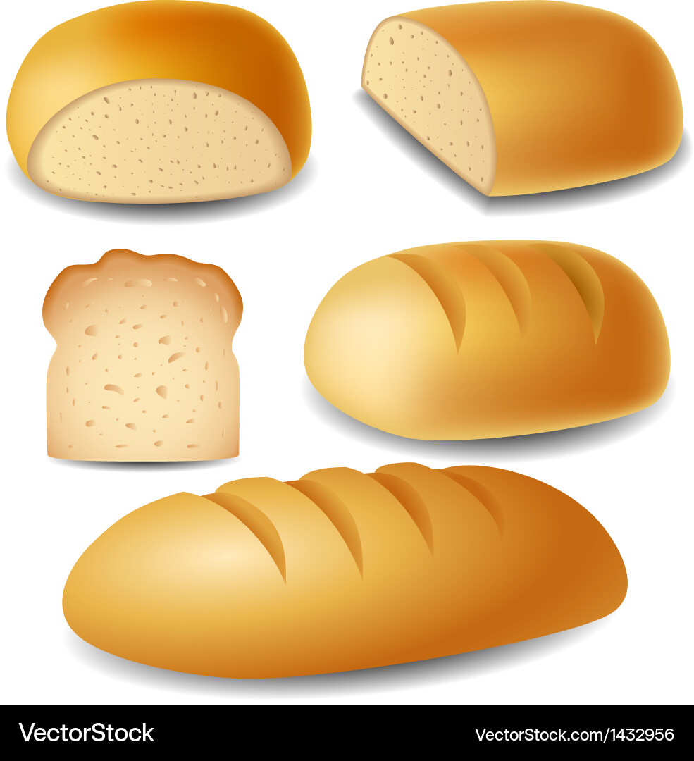 Assorted Bread Collection Vector Image