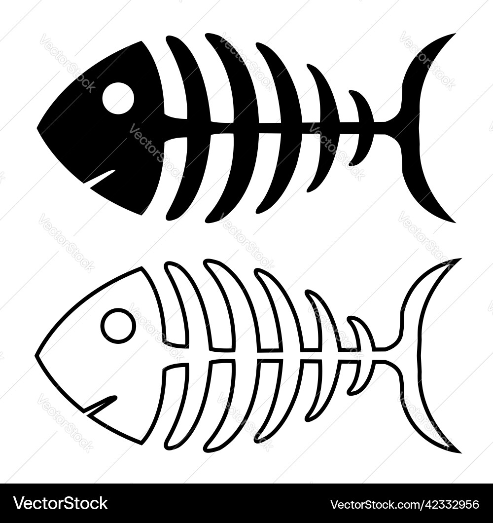 Fish Skeleton Anatomy Royalty Free Vector Image