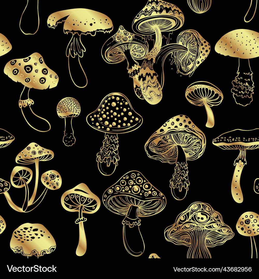 Psychedelic Mushroom Pattern vector image