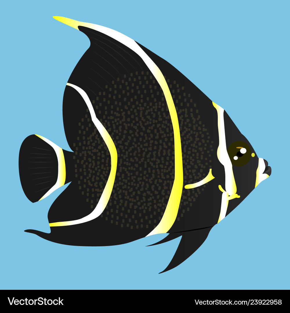 Black and yellow angelfish icon on a blue Black and yellow angelfish icon on a blue vector image