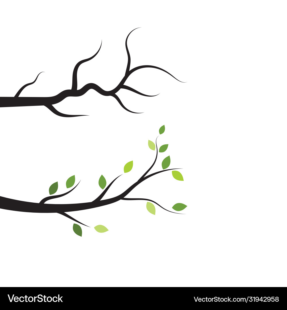 Tree branch design Tree branch design vector image